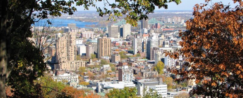 FAM Vue du Mont-Royal par Denis Bélair